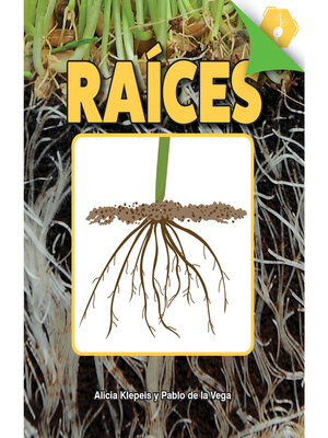 cover image of Raíces